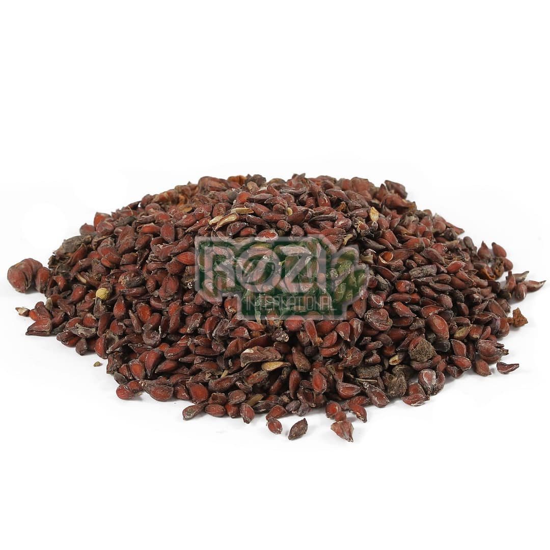 bee dana 2 bee dana 2