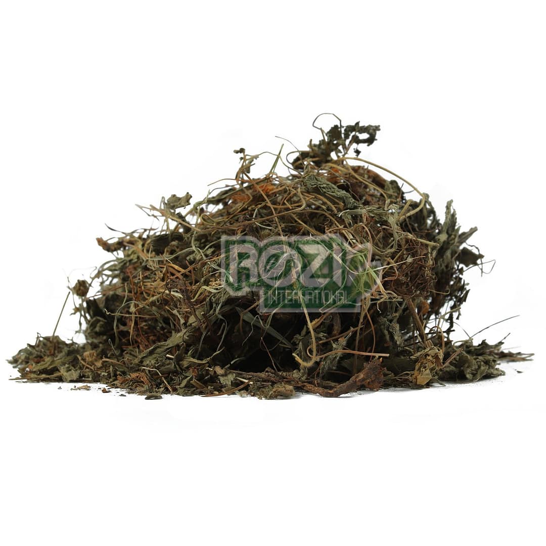 berg banafasha berg banafasha