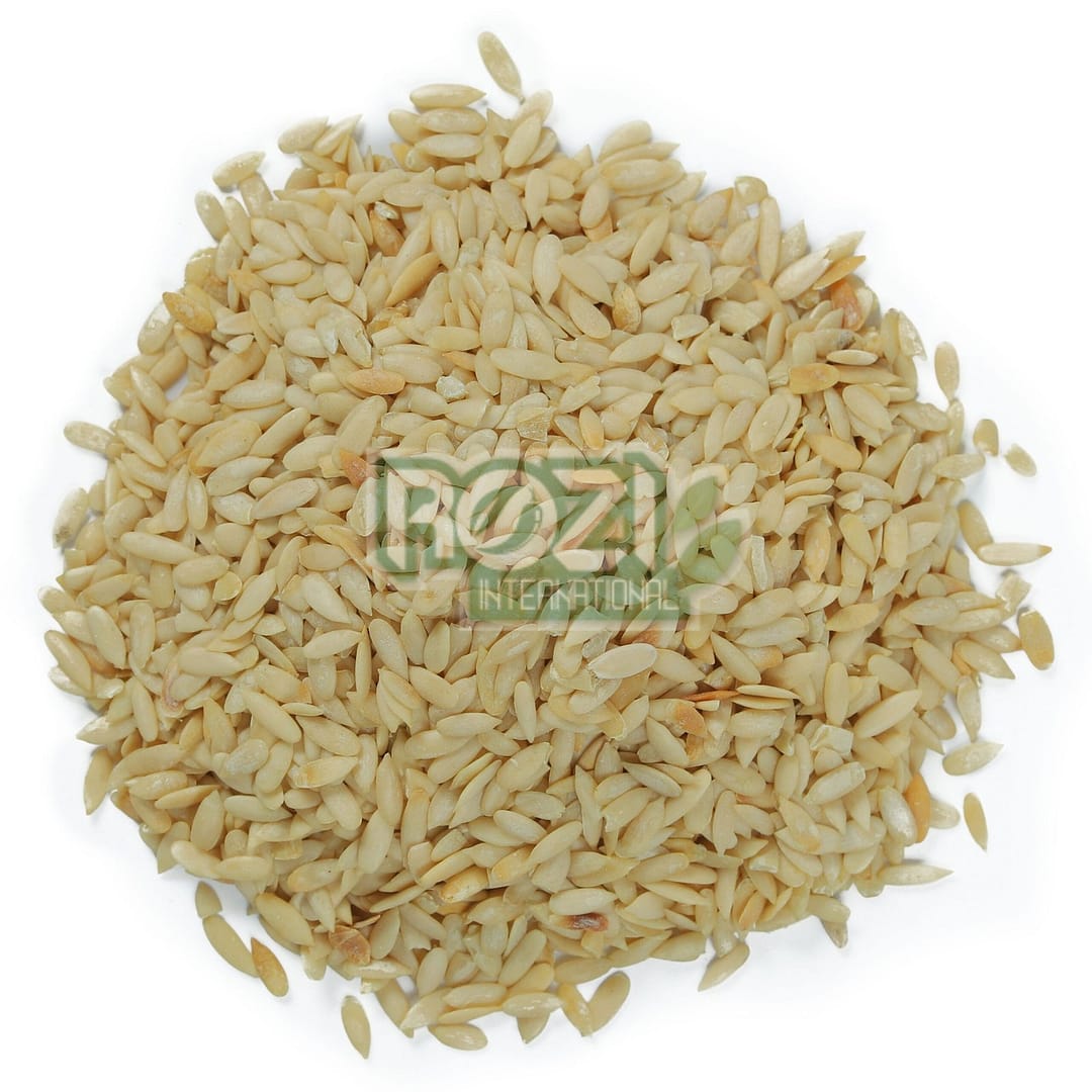 magaz khera magaz khera