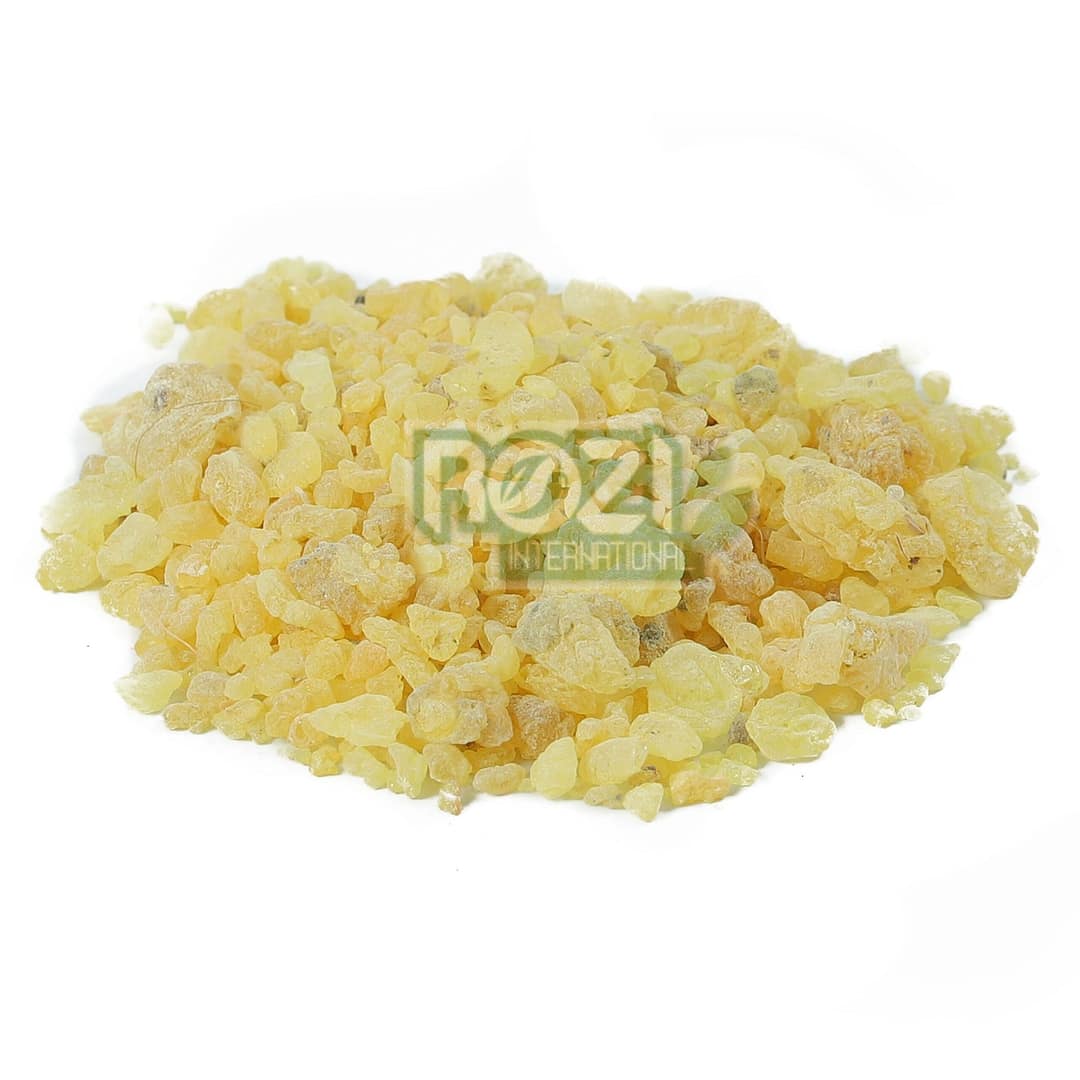 mastagi (2) mastagi (2)