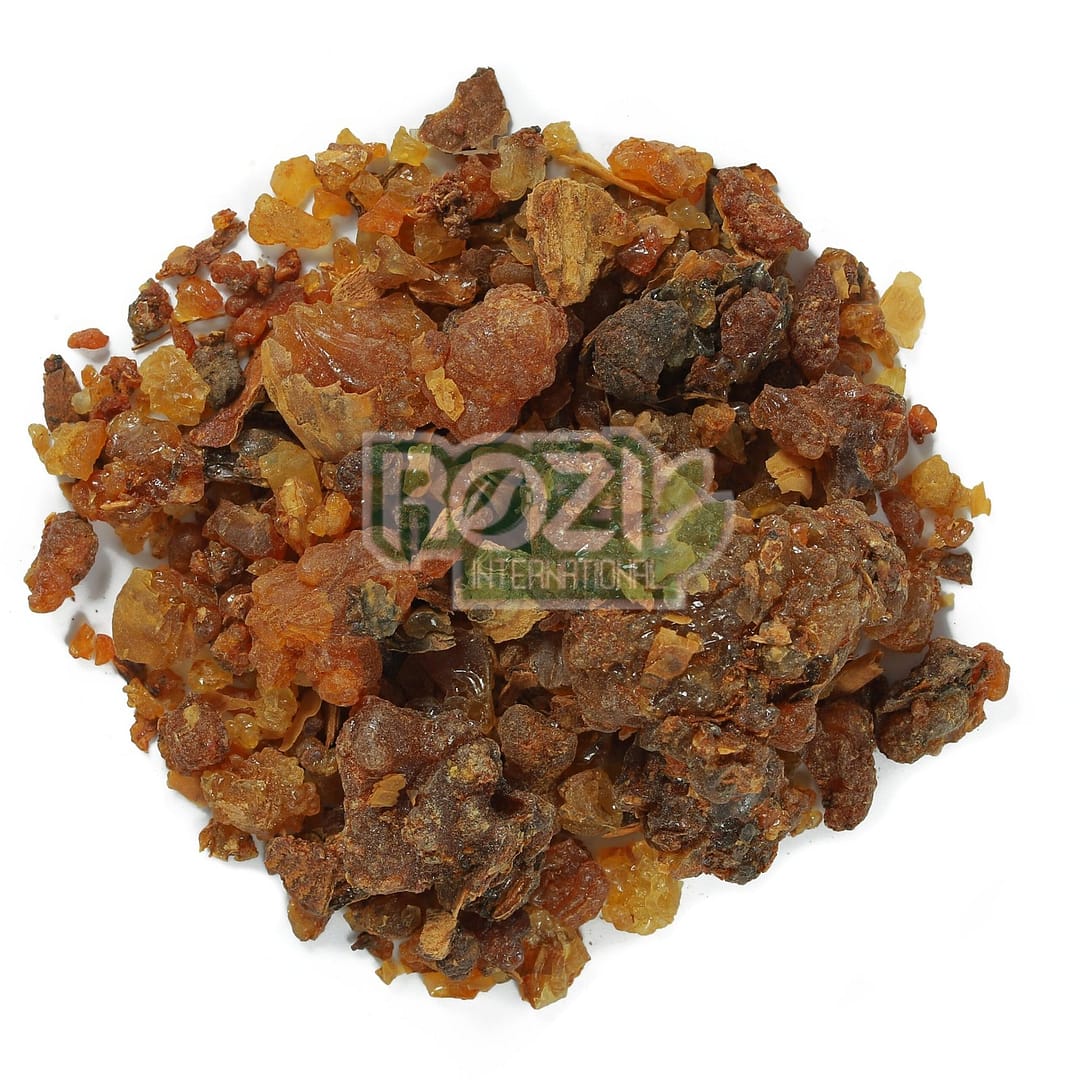 murmaki (2) murmaki (2)