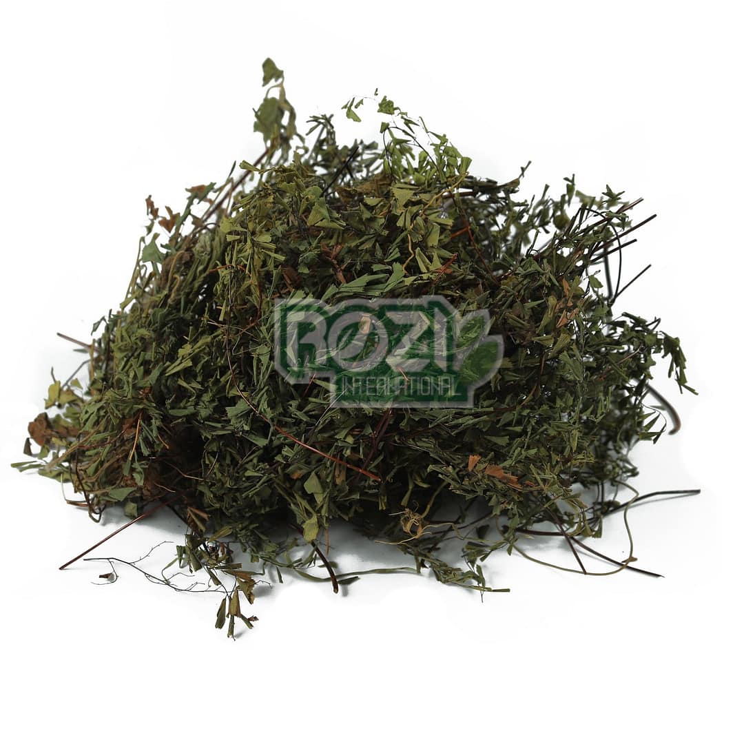 parshosha (2) parshosha (2)