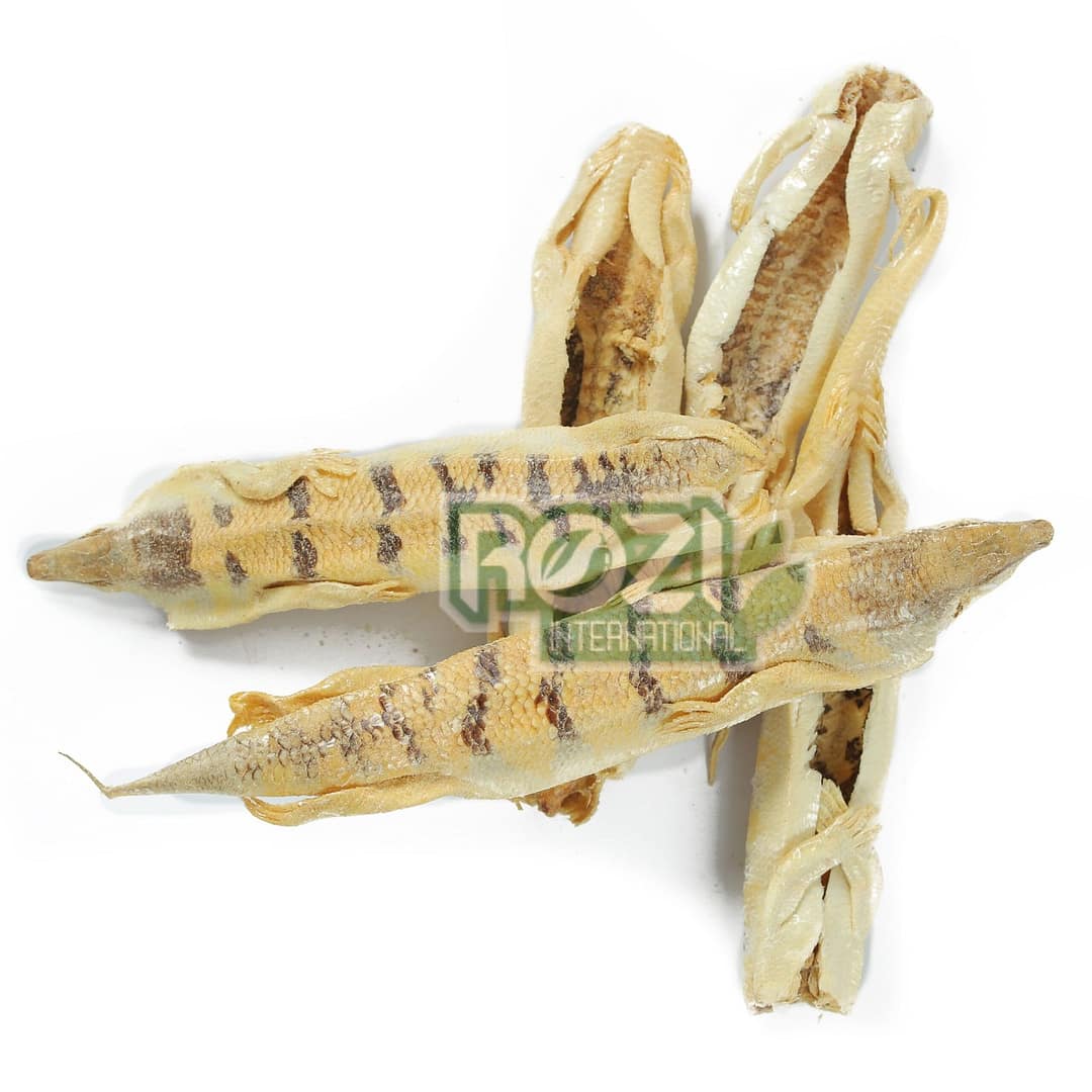 raig mahi (2) raig mahi (2)