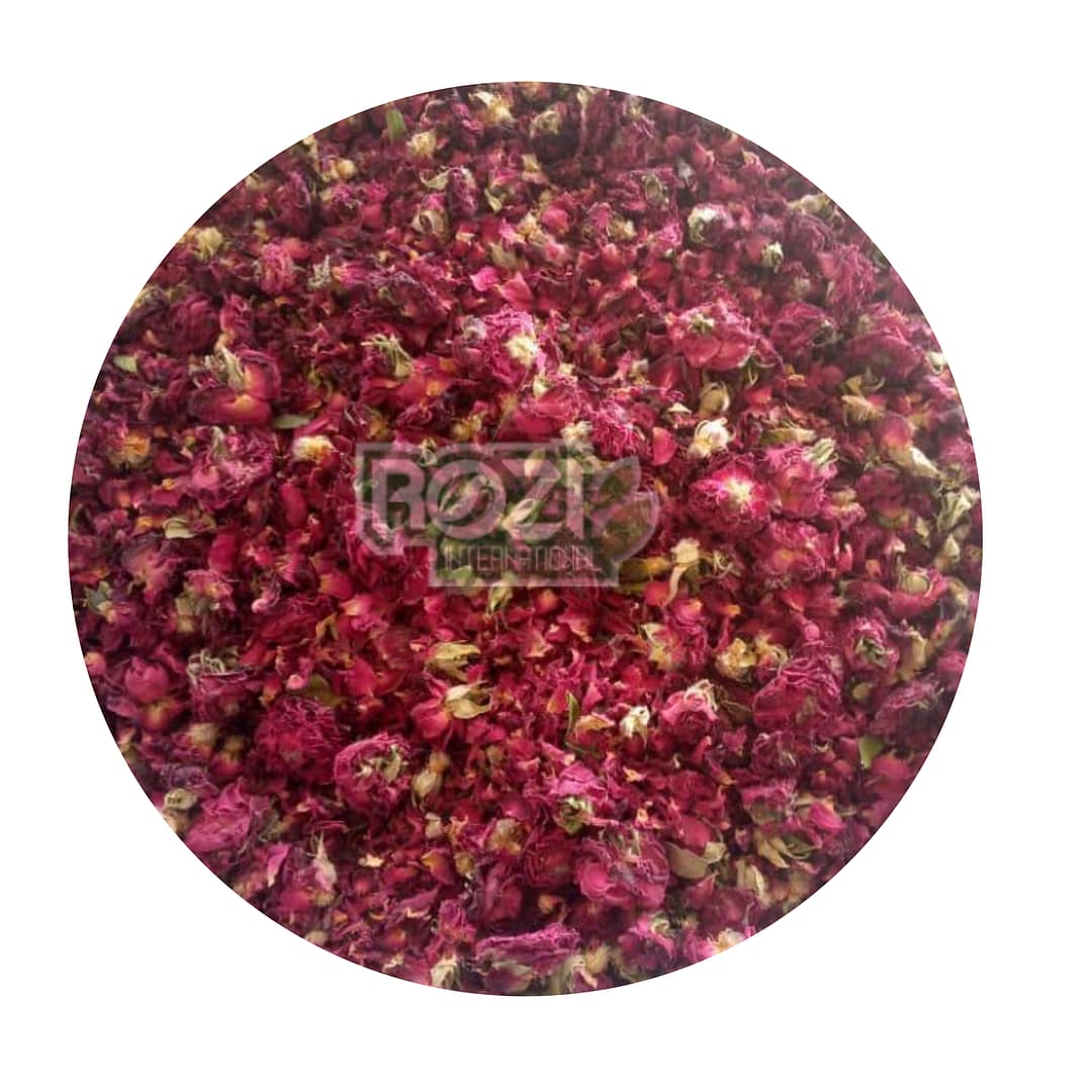 rose flowerr (1) rose flowerr (1)