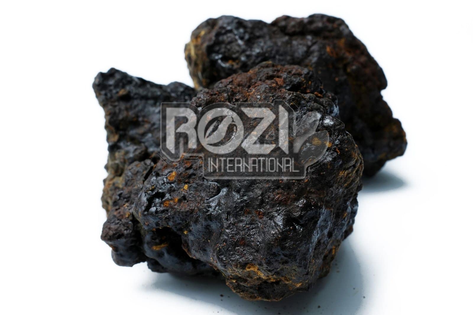 DSC02789 - Copy DSC02789 - Copy