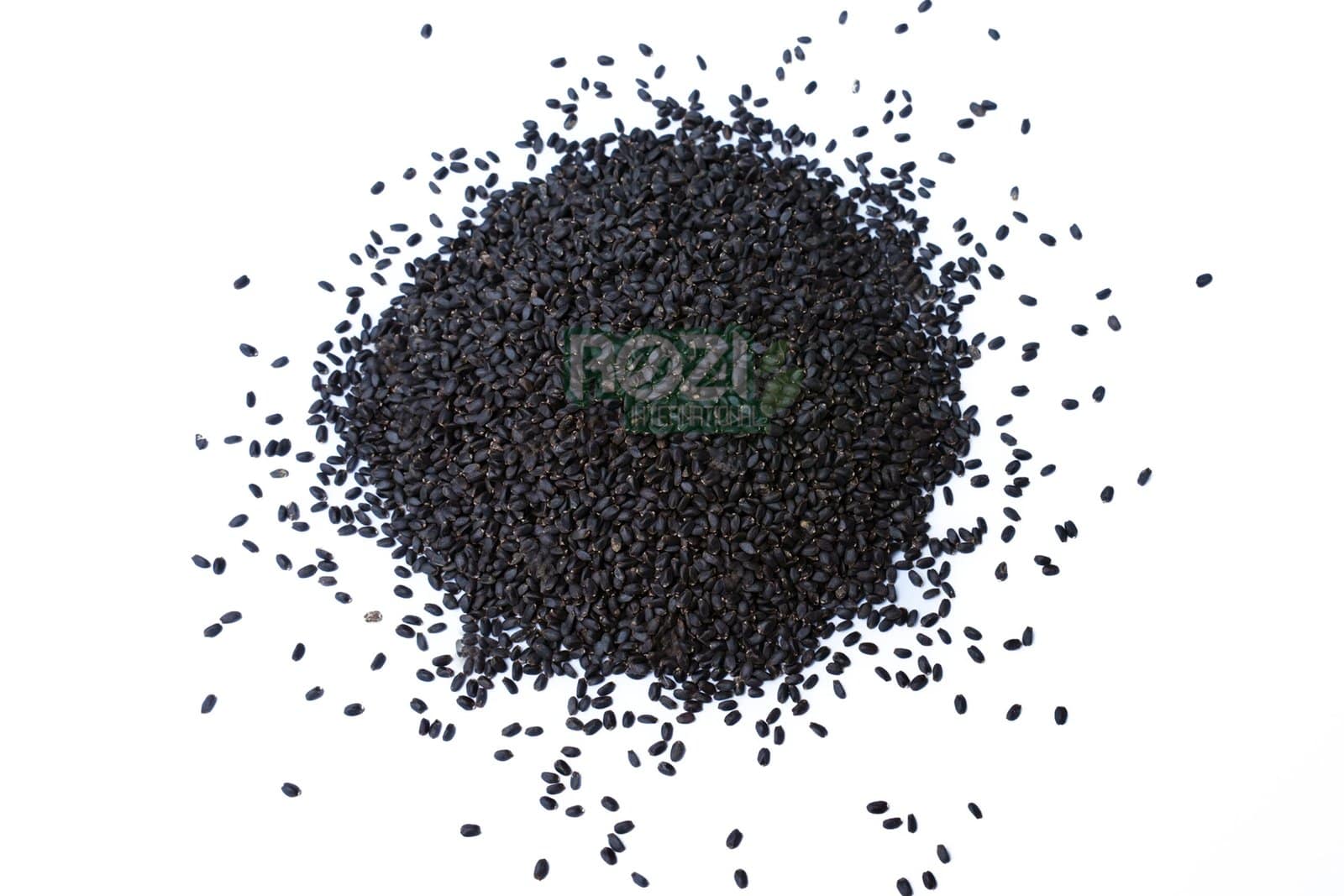 DSC03141 - Copy DSC03141 - Copy